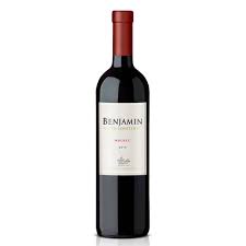VINO BENJAMIN MALBEC